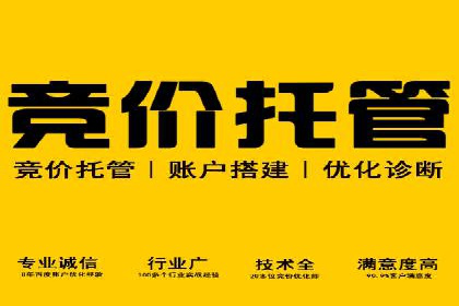 百度SEO推广案例：案例分析及优化方案